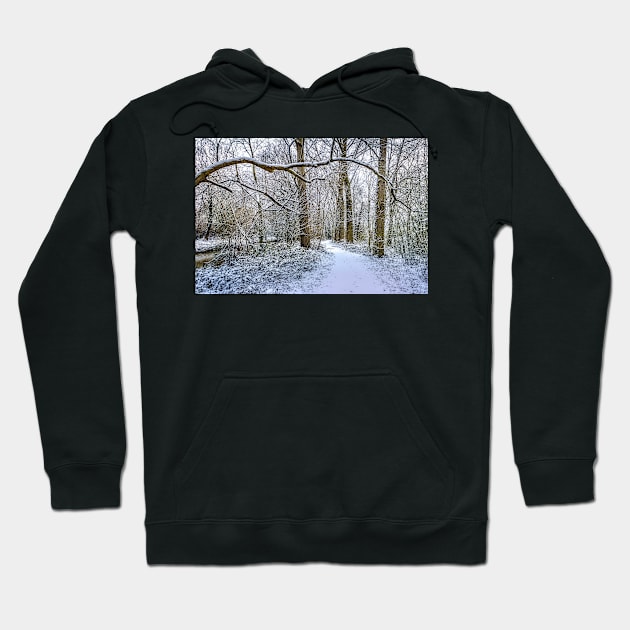 Winter Walk Hoodie by avrilharris